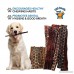123 Treats Beef Dog Treats Esophagus for Dogs 100% Natural Healthy Chews for Dogs - All Natural Jerky Meat Free of Preservatives Hormones Additives Chemicals & Antibiotics From Grass Fed Cattle - B01CGYO4K4