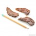 Gourmet Turkey & Duck Superfood Jerky (1lb. Bag) by Best Bully Sticks - All Natural Dog Treats - B078HY4HSK
