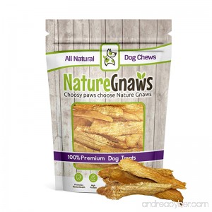 Nature Gnaws Chicken Jerky Strips for Dogs - 100% Premium All-Natural Real Chicken Breast Dog Treats - Delicious & Healthy Snack - Made in USA - 7 oz (25 to 30 pieces) - B07CV1F63V