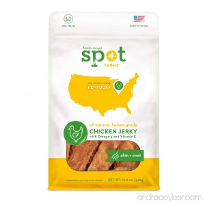 Spot Farms All Natural Human Grade Dog Treats Chicken Jerky for Hip and Joint 12 Ounce - B00N4V55A2