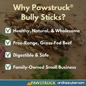 5 Braided Bully Sticks for Dogs - Natural Bulk Dog Dental Treats & Healthy Chews Chemical Free 5 inch Best Low Odor Pizzle Stix - B00KC9C2Q4