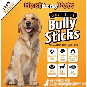 Best For My Pets 12-Inch Bully Sticks Odor-Free All Natural Dog Treats Fresh Long Lasting Chews by 8-Ounce Bag - B00PPOLSXO