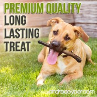 Bullysticks Organic 12" Bully Sticks For Dogs - Big Bag 10 Pack Low Odor Dog Treats - All Natural Premium Beef - USDA/FDA Approved Hand Inspected Healthy Treat - 100% Happiness Guarantee! - B06XP88ZQ8