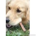 Downtown Pet Supply 12 BULLY STICKS - Large Select Thick - Dog Chew Treats Natural Beef Chews Makes Great Dental Dog Treats (12 inch) - B004MA04LY