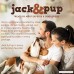 Jack&Pup 6” Premium Grade Junior Bully Sticks Odor Free Dog Treats (10 Pack) – 6” Long All Natural Gourmet and Tender Dog Treat Chews – Fresh and Savory Beef Flavor – Long Lasting Treat - B07FR589RQ
