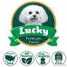 Lucky Premium Treats Chicken Wrapped Rawhide Chews with Real Chicken Breast All Natural Gluten-Free Dog Treats for Small Dogs Made in the USA - B01LXUO4OL
