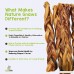 Nature Gnaws Braided Bully Sticks 11-12 inch - 100% Natural Grass-Fed Free-Range Premium Beef Dog Chews - B01LOXSL3E