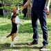 Pet Cuisine Dog Treats Puppy Chews Training Snacks Chewy Chicken & Fish Twisters - B01HHYLTHY