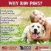 Raw Paws 6-inch Compressed Rawhide Ring Treats for Dogs - Packed in the USA - Rawhide Rings for Dogs - Digestible Rawhide Donuts - Natural Beef Hide Dogs Chews - Natural Puppy Teething Rings - B01N0QVBMQ