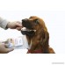 WyldLife Pets American Bully Sticks & Beef Tendon Combo – Gourmet Grass Fed Dog Treats Grain Free – Training & Puppy Dental Chews w/Zero Chemicals Hormones or Preservatives - B018F0S1EI