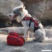 ASOCEA Service Dog vest Harness Saddlebags Backpack with 2 Removable Packs for Travel Camping Hiking Traveling - B06Y62JNLW
