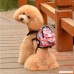 Celendi Vogue Pet Traning Backpack Outdoor Travel Carrier For Dog Puppy Cats With Corlorful Leash - B077BH1GHT