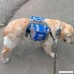 Columbustore Outdoor Adjustable Dog Saddle Bag Large Capacity Dog Backpack with Reflective Stripe (Orange Large) - B00TI1143Y