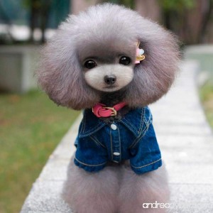 Little Pet Dog Coat Lotus.flower Cute Cowboy Style Dog Denim Jacket Puppy Clothes Warm Apparel - B075M9DNBF