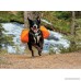 Ruffwear Approach Full-Day Hiking Pack for Dogs - B00B2KAAD4