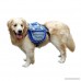 Yunt Dog Saddle Bag Travel Bag Multifunctional Pet Backpack with Adjustable Shoulder Strap and Reflective Strip for Dog Training Hiking - B075XN5HFH