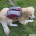 Yunt Pet Saddle Bag Backback Hiking Gear with Removable Bags for Middle Large Sized Dogs Traveling Hiking Camping - B075XNLF65