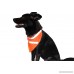 Dog Reflective Gear Walk your Dog Safely with this Blaze Orange Bandana with White Reflective Stripes Visible at Night for your Dog's Protection Easy to Use Comfortable for your Pet Free bonus ebook 100 Dog Training Tips published exclusively by DeedlePet The Safety Scarf Your Dog Will Love To Wear - B00NMO3JZY