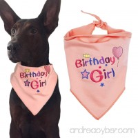 Ggkidsfunpet Dog Birthday Bandana Pet Scarf Accessory for Girls - B07BJFD9NF
