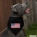 Graphics and More President Trump American Flag Dog Pet Bandana - Black - B07BXC1ZM6