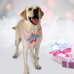 JOYLOADER Dog Birthday Bandana Scarfs Pink - B07CXM2NVX