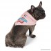 JOYLOADER Dog Birthday Bandana Scarfs Pink - B07CXM2NVX