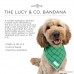 Lucy & Co Dog Bandanas - Designer Puppy Accessories for Boy and Girl Dogs - Limited Edition Prints Fit Small Medium Large Dogs - B072MHZJJT