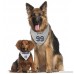 MLBPA PET GEAR for DOGS & CATS. Biggest selection of Sports Baseball Pet Apparel & Accessories Licensed by the MLBPA. 10+ MLB TEAMS Available! - B07DKHTX46