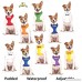 NO DOGS Orange Dog Bandana quality personalised embroidered message neck scarf fashion accessory Prevents accidents by warning others of your dog in advance - B012VVBOR8
