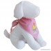 Tail Trends Happy Birthday Dog Bandana For Girls Boy Unisex Pets - 100% Cotton - B00OGNUTVW