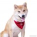 ZippyPaws Holiday Paw Bandana - Christmas Dog Accessory (3 Sizes) - B00MQ7UOUQ