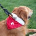 ZippyPaws Holiday Paw Bandana - Christmas Dog Accessory (3 Sizes) - B00MQ7UOUQ