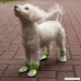 Hdwk&Hped Summer Dog Paw Protector Dog Booties Breathable Mesh Flexible Velcro Strap Anti-slip PU Sole Dog Walking Shoes Dog Boots for Small Dog Puppy Cat Green Sizes #40-#55 - B07DNM6CHY