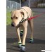 Healers Urban Walkers Dog Boots for Paw Protection - B00A3PH5BO