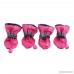 Royal Wise Dog Boots For Small to Large Dogs S to XL All Seasons Pet Booties - B01N0O1U0B