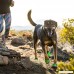 RUFFWEAR - Summit Trex Boots for Dogs Twilight Gray 2.0 in (51 mm) - B0754VVXY9
