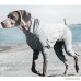 Hurtta Body Warmer Dog Bodysuit Carbon Grey - B01JBQA7SS