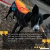 SafetyPUP XD Dog Rain Vest - Waterproof Dog Jacket for Large and Small Dogs. Hi Visibility Reflective Vest with Fleece Lining For Extra Warmth and Protection. Please Take NOTE OF SIZING - B01MG80G1D