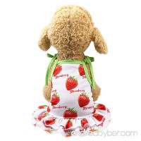 vmree Small Dog Apparel  Puppy Kitten Lovely Strawberry/Pineapple Print Match Outfits Couple Wear Vest/Dress - B07F631VXD