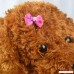 Adarl 20 Pcs Handmade Grooming Accessories Products Bow Hair Flower Bowknots For Puppy Pet Dog Cat - B01M29ZUAJ