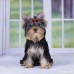 Boutiages Multicolor Dog Cat Plastic Sunglass Hairpins Hair Barrette Heart Shape Pet Hair Clips - B07DMDPDZ8