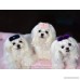 Light PINK Mink and Crystal Fur Hair Clip for Maltese Dog Puppy - Mink Fur and Crystal Rhinestone Hair Bling - - B078Z4Q6DC