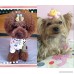 PET SHOW Flower Pet Dog French Barrette Hair Clips Cat Puppy Grooming Hair Accessories Assorted Color Pack of 20 - B00V89SJPA