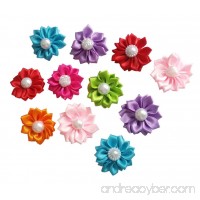 PET SHOW Handmade Flowers Girls Pet Dog Hair Bows Clips Grooming Accessories Assorted Pack of 20 - B012I5XED4