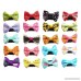 PET SHOW Small Pet Dogs Cats Hair Bows with Clips Dog Hair clips for Short Hair Pets Topknot Hair Accessories Assorted Colors Styles Pack of 10pairs - B01MEG3PY7