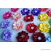Yagopet 20pcs/10pairs Dog Hair Bows With Rubber Bands Petal Flower Dog Topknot with Flower Pearls Nice Dog Topknot Bows Pet Dog Grooming Bows Pet Supplies Dog Bows Hair Accessories - B01HL458RW