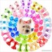 YOY 40pcs/20 Pairs Adorable Grosgrain Ribbon Pet Dog Hair Bows with Rubber Bands - Puppy Topknot Cat Kitty Doggy Grooming Hair Accessories Bow knots Headdress Flowers Set for Groomer - B07DYV3NZ6