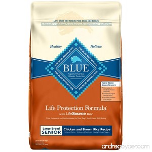 Blue Buffalo Life Protection Formula Natural Senior Large Breed Dry Dog Food - B00YFZIG4I
