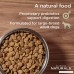 Diamond Naturals ADULT Large Breed Real Meat Recipe Natural Dry Dog Food with Real Pasture Raised Lamb Protein 40lb - B001QEF4XC