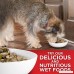 Hill's Science Diet Large Breed Dry Dog Food - B004CQZQQG